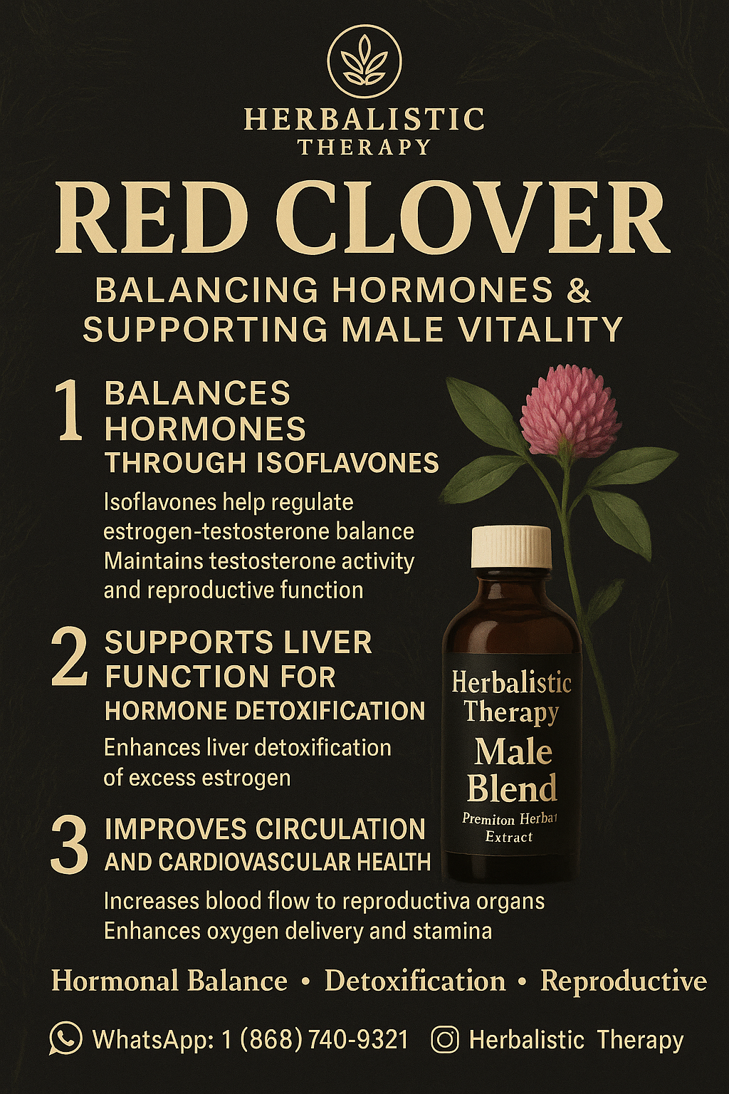 Male Blend - Premium Saw Palmetto Blended Extract